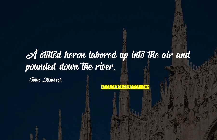 Licenciatura Quotes By John Steinbeck: A stilted heron labored up into the air Licenciatura Quotes By John Steinbeck: A stilted heron labored up into the air