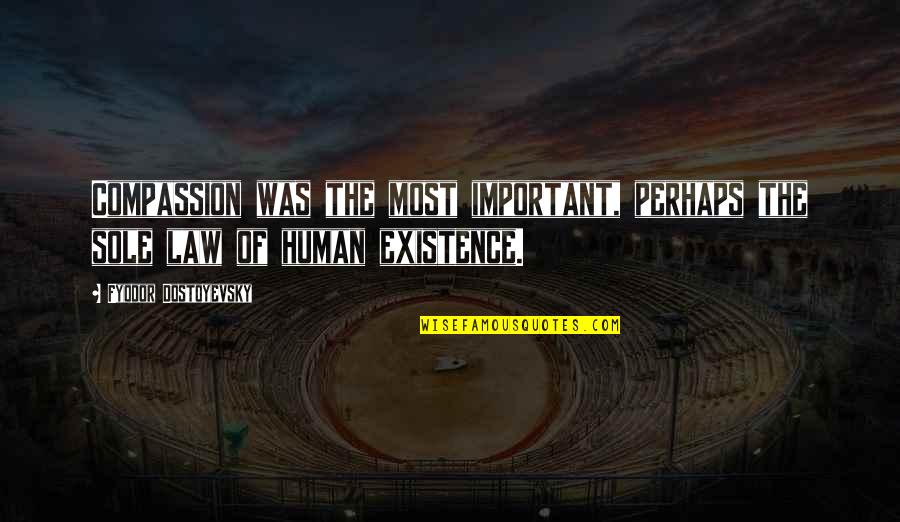 License To Wed Quotes By Fyodor Dostoyevsky: Compassion was the most important, perhaps the sole