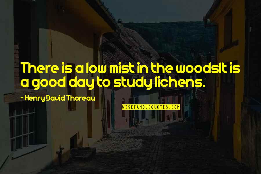 Lichens Quotes By Henry David Thoreau: There is a low mist in the woodsIt