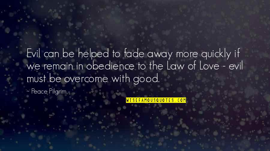 Licia Maglietta Quotes By Peace Pilgrim: Evil can be helped to fade away more