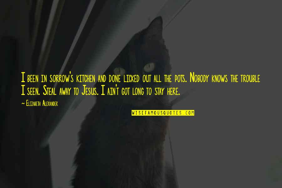 Licked Quotes By Elizabeth Alexander: I been in sorrow's kitchen and done licked Licked Quotes By Elizabeth Alexander: I been in sorrow's kitchen and done licked