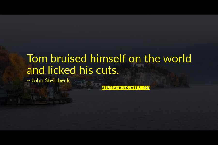Licked Quotes By John Steinbeck: Tom bruised himself on the world and licked Licked Quotes By John Steinbeck: Tom bruised himself on the world and licked