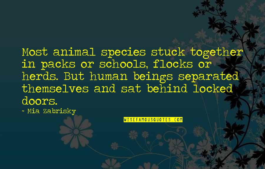 Lickel Construction Quotes By Mia Zabrisky: Most animal species stuck together in packs or Lickel Construction Quotes By Mia Zabrisky: Most animal species stuck together in packs or