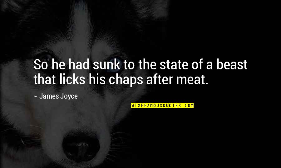 Licks For Quotes By James Joyce: So he had sunk to the state of