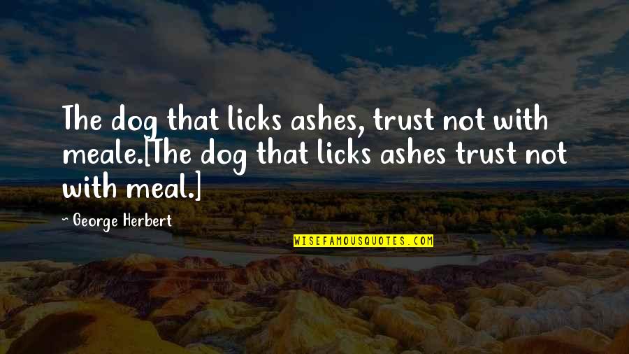 Licks Quotes By George Herbert: The dog that licks ashes, trust not with