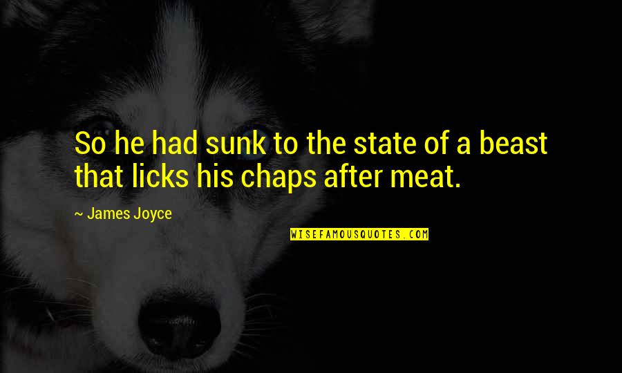 Licks Quotes By James Joyce: So he had sunk to the state of