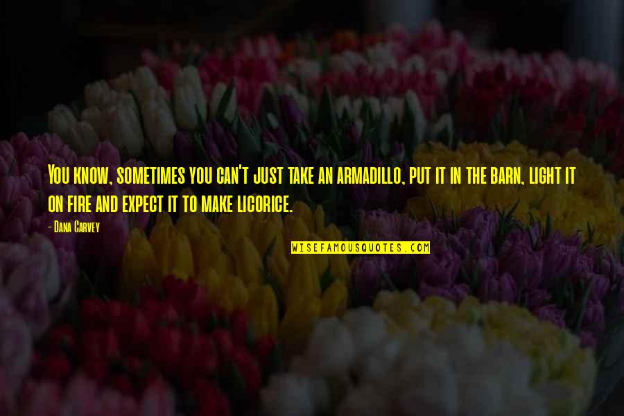 Licorice Quotes By Dana Carvey: You know, sometimes you can't just take an Licorice Quotes By Dana Carvey: You know, sometimes you can't just take an