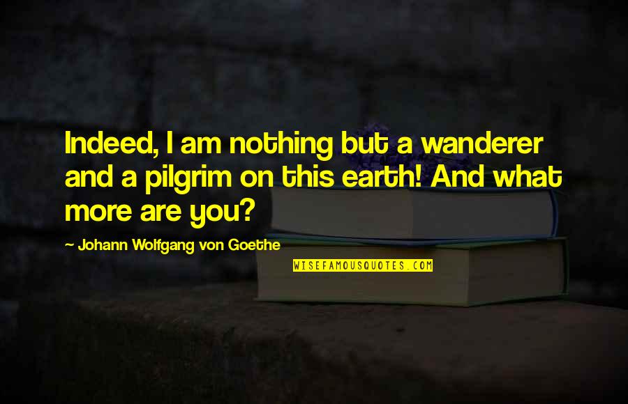 Licour Quotes By Johann Wolfgang Von Goethe: Indeed, I am nothing but a wanderer and