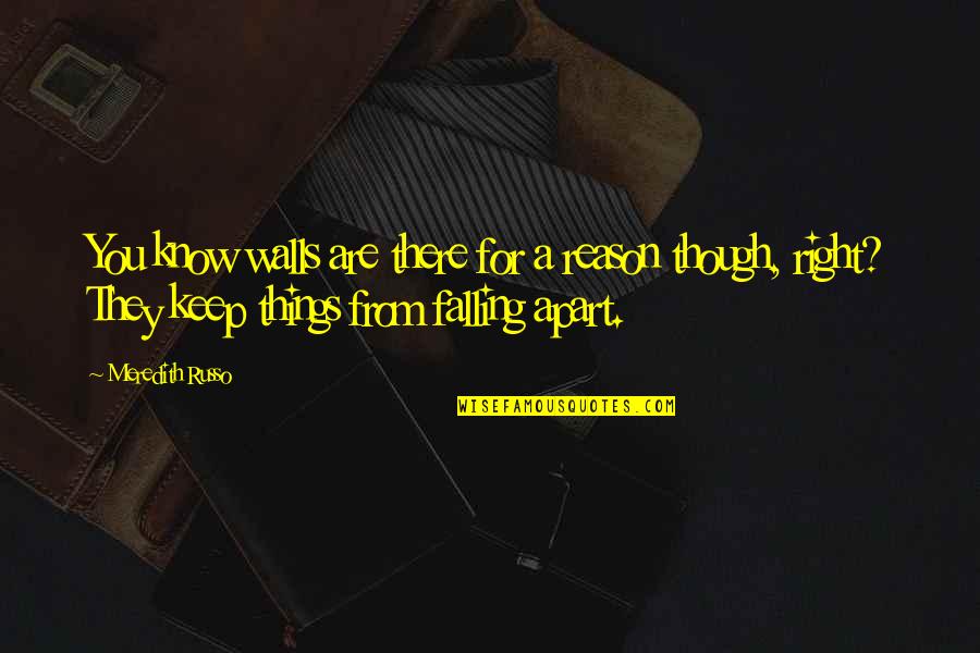 Liczba Quotes By Meredith Russo: You know walls are there for a reason