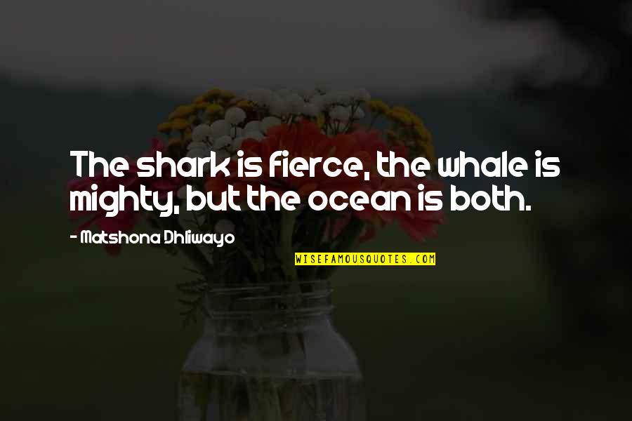 Lida And Melina Quotes By Matshona Dhliwayo: The shark is fierce, the whale is mighty,