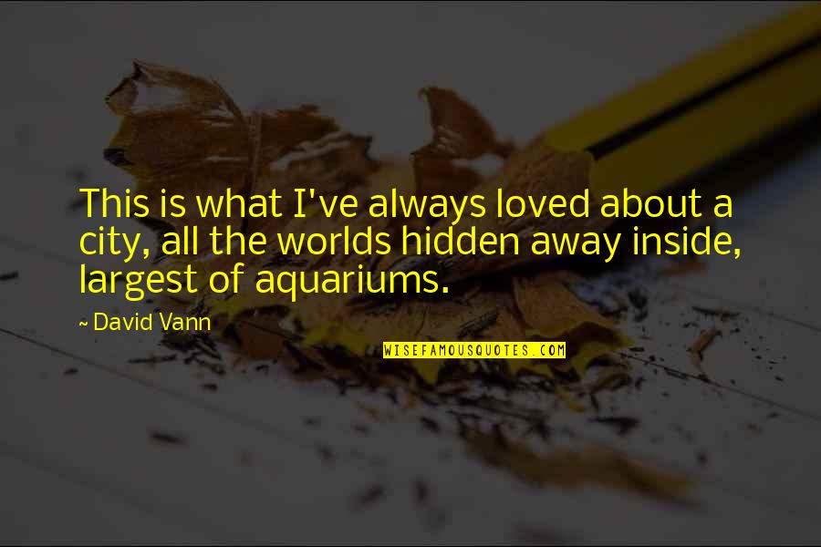 Liderar Definicion Quotes By David Vann: This is what I've always loved about a