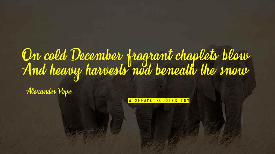 Lidiane Leite Quotes By Alexander Pope: On cold December fragrant chaplets blow, And heavy