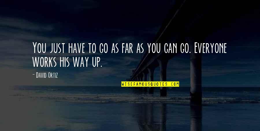 Liegen Ist Quotes By David Ortiz: You just have to go as far as
