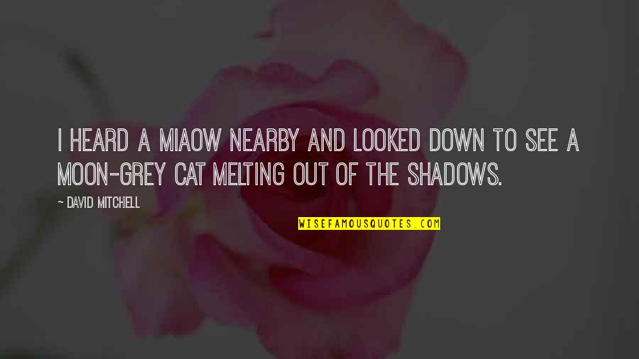 Lier Friends Quotes By David Mitchell: I heard a miaow nearby and looked down