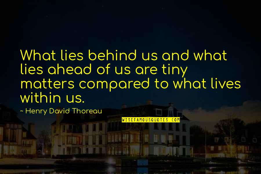 Lies Ahead Quotes By Henry David Thoreau: What lies behind us and what lies ahead