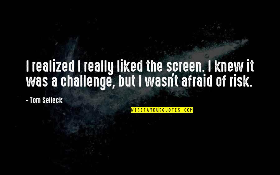 Lies And Silence Quotes By Tom Selleck: I realized I really liked the screen. I