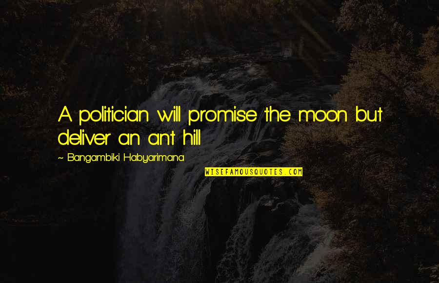 Lies In Politics Quotes By Bangambiki Habyarimana: A politician will promise the moon but deliver