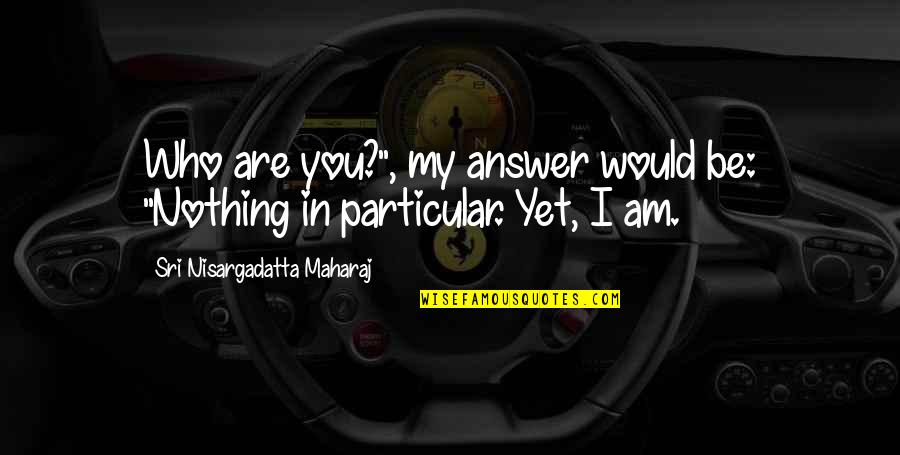 Liesel Meminger Appearance Quotes By Sri Nisargadatta Maharaj: Who are you?", my answer would be: "Nothing