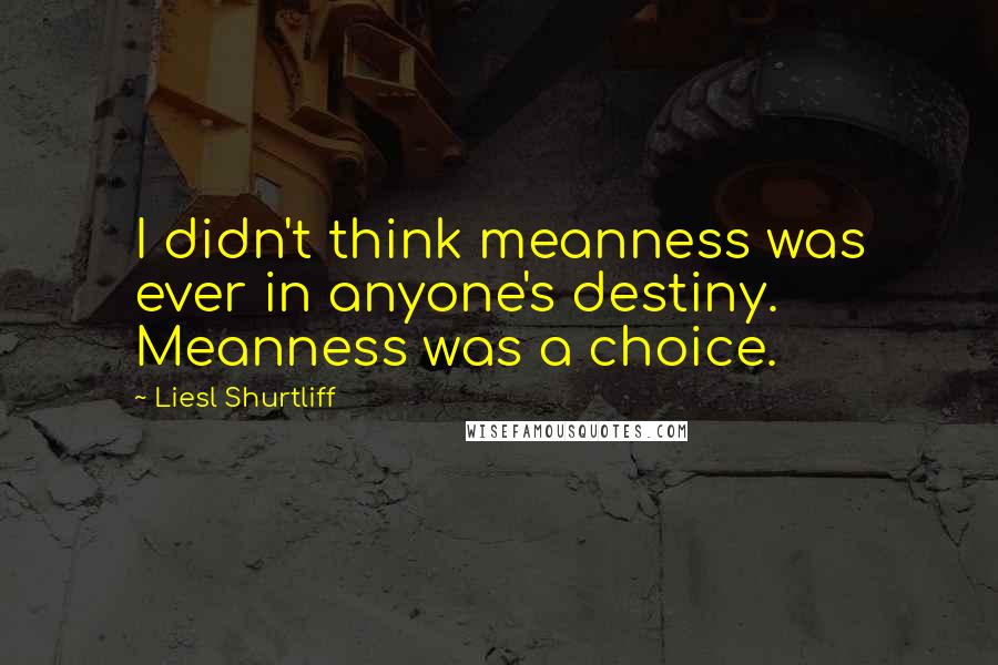 Liesl Shurtliff quotes: I didn't think meanness was ever in anyone's destiny. Meanness was a choice.