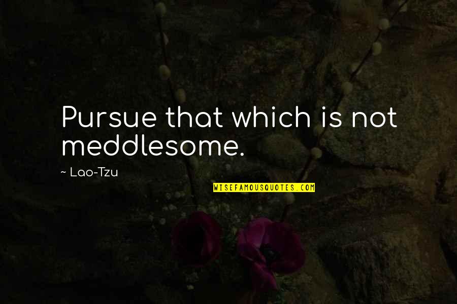 Liestoppers Quotes By Lao-Tzu: Pursue that which is not meddlesome. Liestoppers Quotes By Lao-Tzu: Pursue that which is not meddlesome.