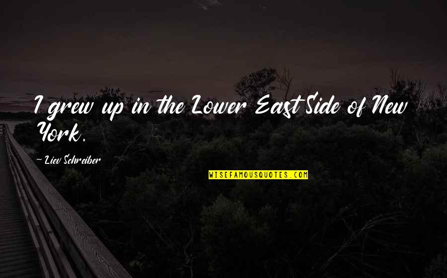 Liev Quotes By Liev Schreiber: I grew up in the Lower East Side