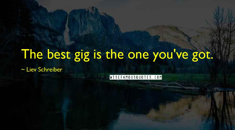 Liev Schreiber quotes: The best gig is the one you've got.