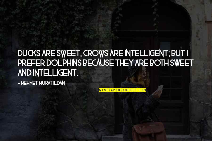 Lieve Papa Quotes By Mehmet Murat Ildan: Ducks are sweet, crows are intelligent; but I