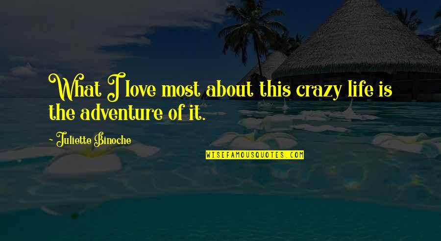 Life Adventure Love Quotes By Juliette Binoche: What I love most about this crazy life