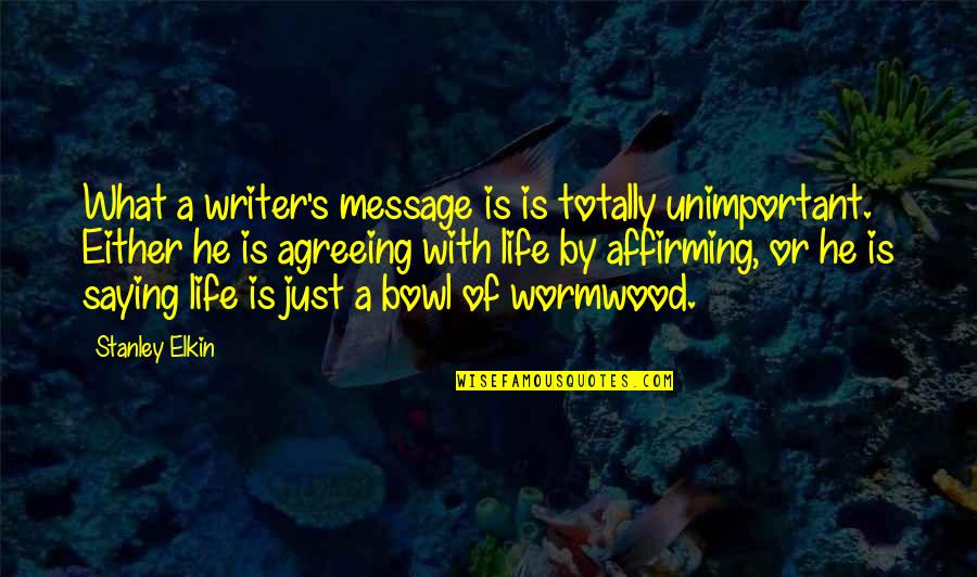 Life Affirming Quotes By Stanley Elkin: What a writer's message is is totally unimportant.
