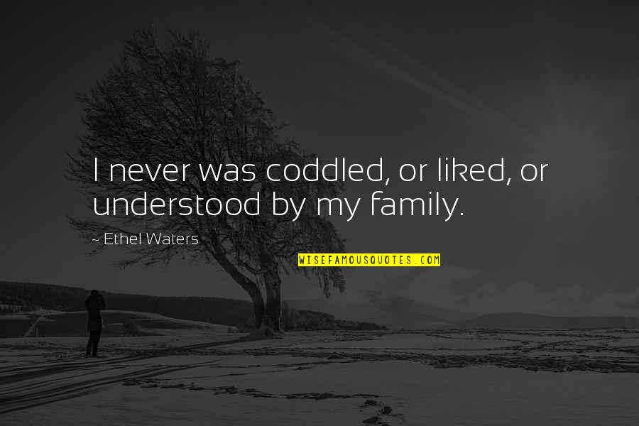Life After Death Of Loved One Quotes By Ethel Waters: I never was coddled, or liked, or understood Life After Death Of Loved One Quotes By Ethel Waters: I never was coddled, or liked, or understood