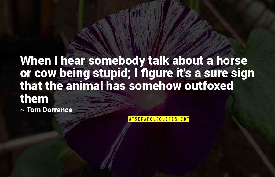 Life Amazon Quotes By Tom Dorrance: When I hear somebody talk about a horse