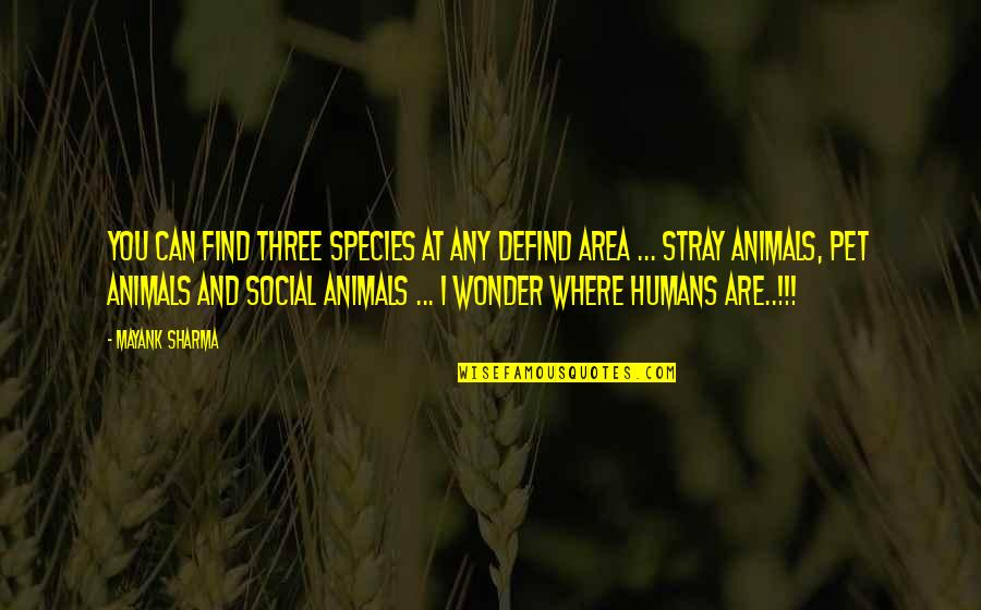 Life And Animals Quotes By Mayank Sharma: You can find three species at any defind Life And Animals Quotes By Mayank Sharma: You can find three species at any defind