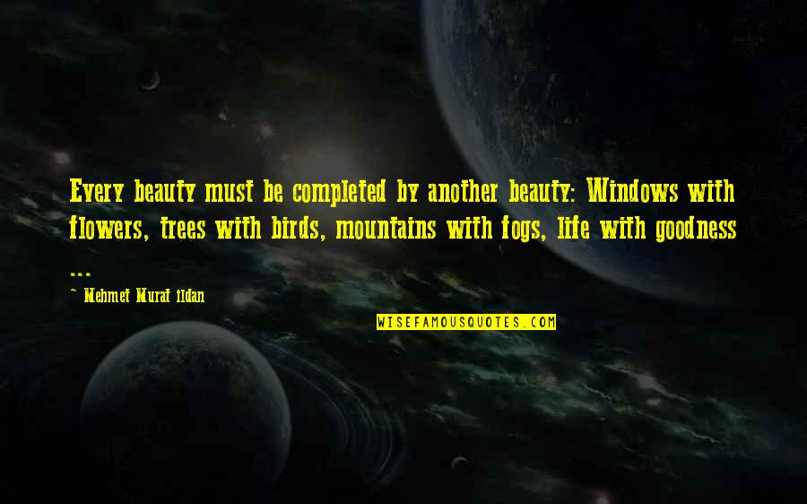 Life And Birds Quotes By Mehmet Murat Ildan: Every beauty must be completed by another beauty: Life And Birds Quotes By Mehmet Murat Ildan: Every beauty must be completed by another beauty: