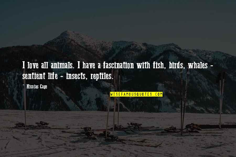 Life And Birds Quotes By Nicolas Cage: I love all animals. I have a fascination Life And Birds Quotes By Nicolas Cage: I love all animals. I have a fascination