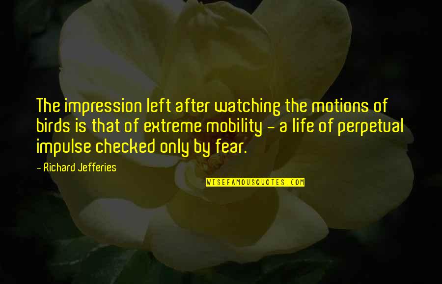 Life And Birds Quotes By Richard Jefferies: The impression left after watching the motions of Life And Birds Quotes By Richard Jefferies: The impression left after watching the motions of