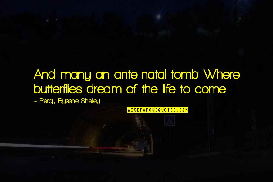 Life And Butterflies Quotes By Percy Bysshe Shelley: And many an ante-natal tomb Where butterflies dream Life And Butterflies Quotes By Percy Bysshe Shelley: And many an ante-natal tomb Where butterflies dream
