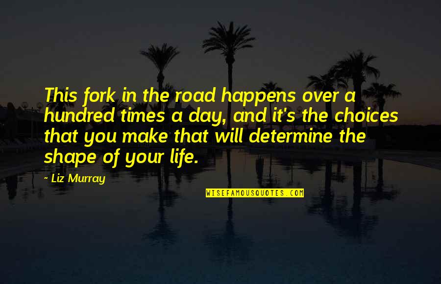 Life And Choices Quotes By Liz Murray: This fork in the road happens over a Life And Choices Quotes By Liz Murray: This fork in the road happens over a