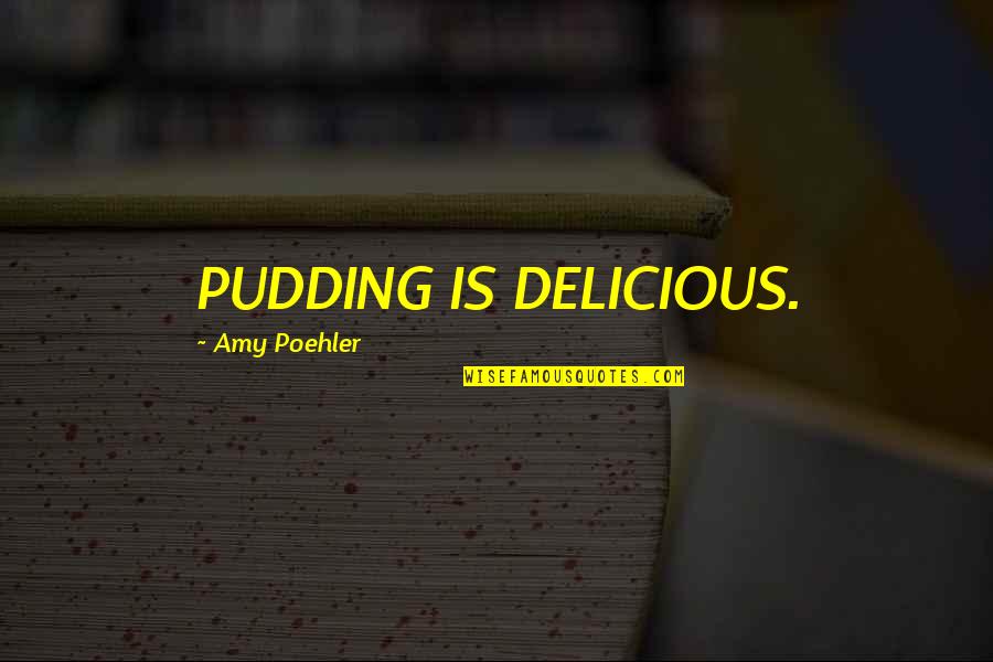 Life And Death By Buddha Quotes By Amy Poehler: PUDDING IS DELICIOUS.