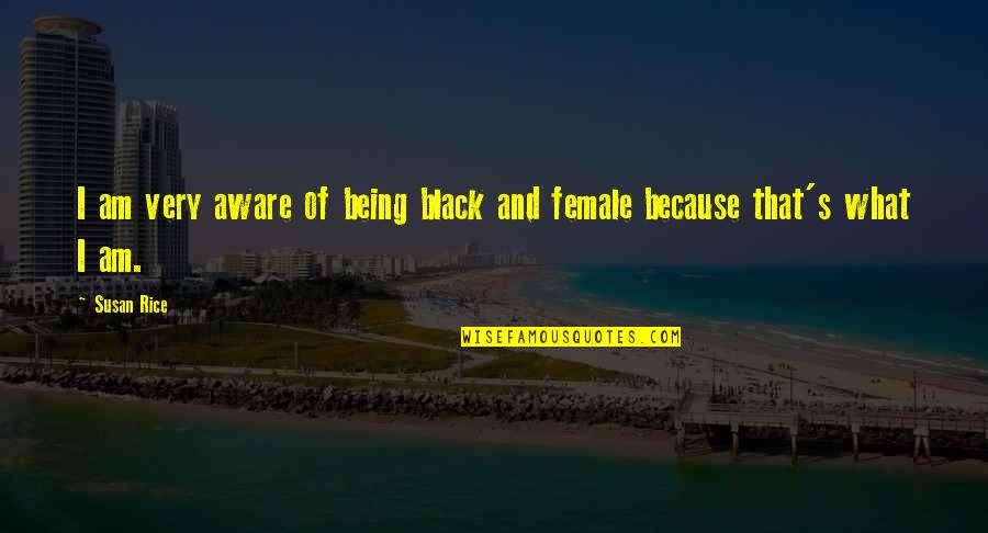 Life And Death Experiences Quotes By Susan Rice: I am very aware of being black and Life And Death Experiences Quotes By Susan Rice: I am very aware of being black and