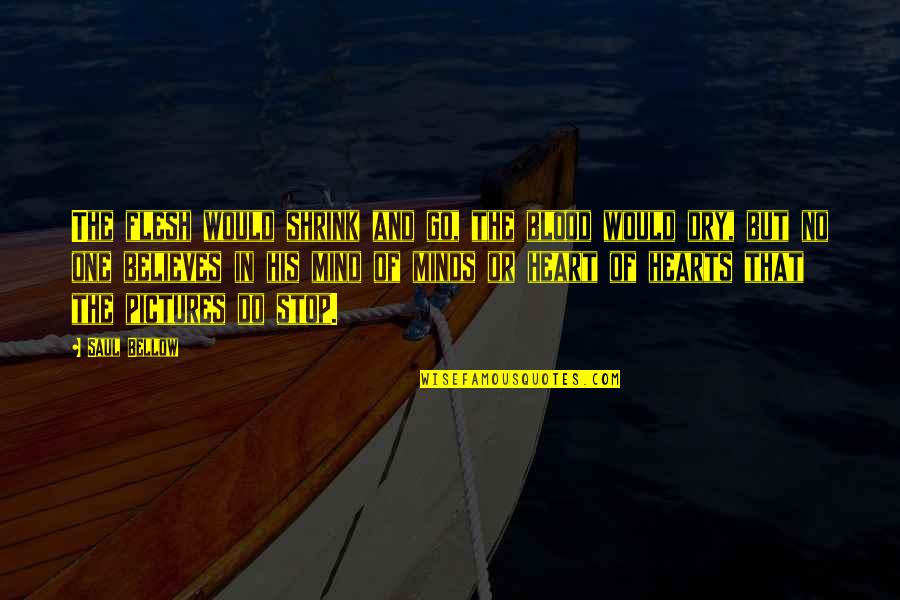 Life And Death Pictures Quotes By Saul Bellow: The flesh would shrink and go, the blood