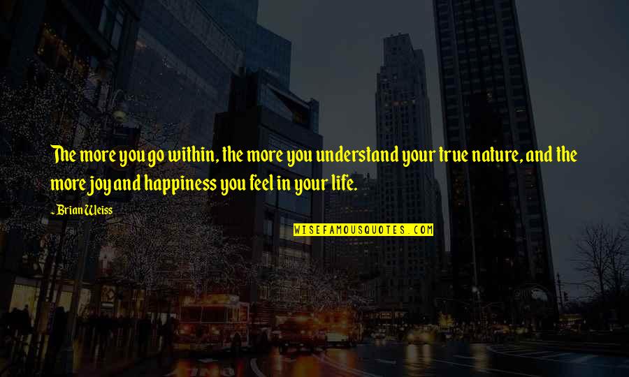 Life And Happiness True Quotes By Brian Weiss: The more you go within, the more you