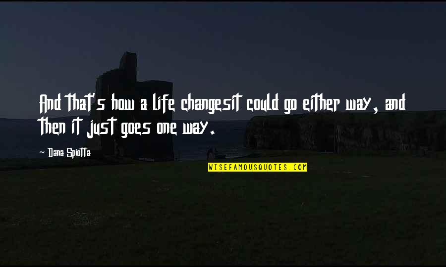 Life And How It Goes On Quotes By Dana Spiotta: And that's how a life changesit could go