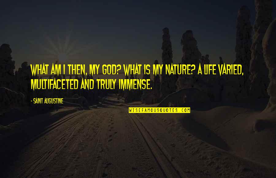 Life And Human Nature Quotes By Saint Augustine: What am I then, my God? What is