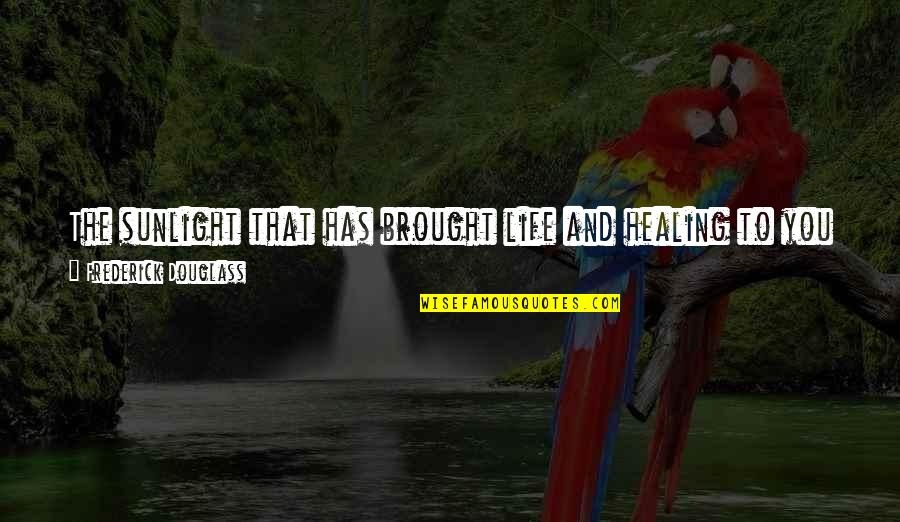 Life And Justice Quotes By Frederick Douglass: The sunlight that has brought life and healing