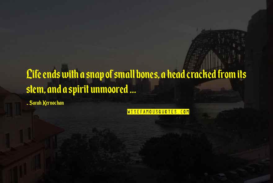 Life And Karma Quotes By Sarah Kernochan: Life ends with a snap of small bones, Life And Karma Quotes By Sarah Kernochan: Life ends with a snap of small bones,