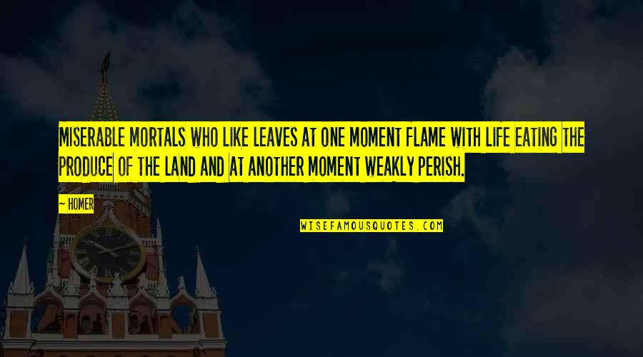Life And Leaves Quotes By Homer: Miserable mortals who like leaves at one moment Life And Leaves Quotes By Homer: Miserable mortals who like leaves at one moment