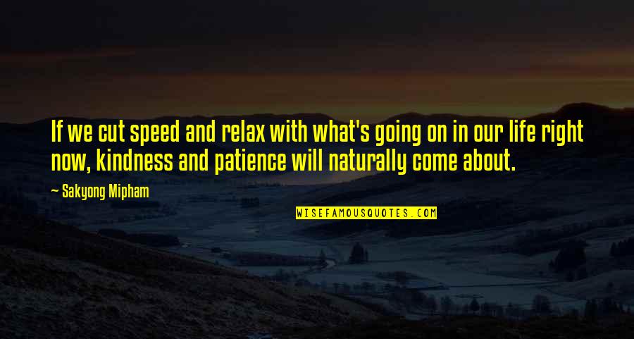 Life And Patience Quotes By Sakyong Mipham: If we cut speed and relax with what's