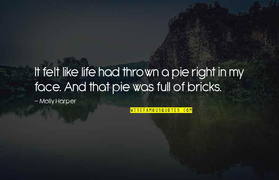 Life And Pie Quotes By Molly Harper: It felt like life had thrown a pie