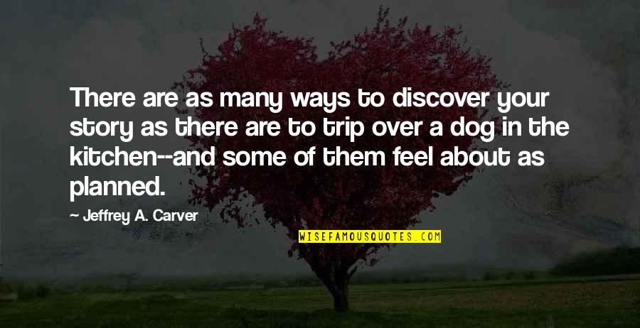 Life And Planned Quotes By Jeffrey A. Carver: There are as many ways to discover your