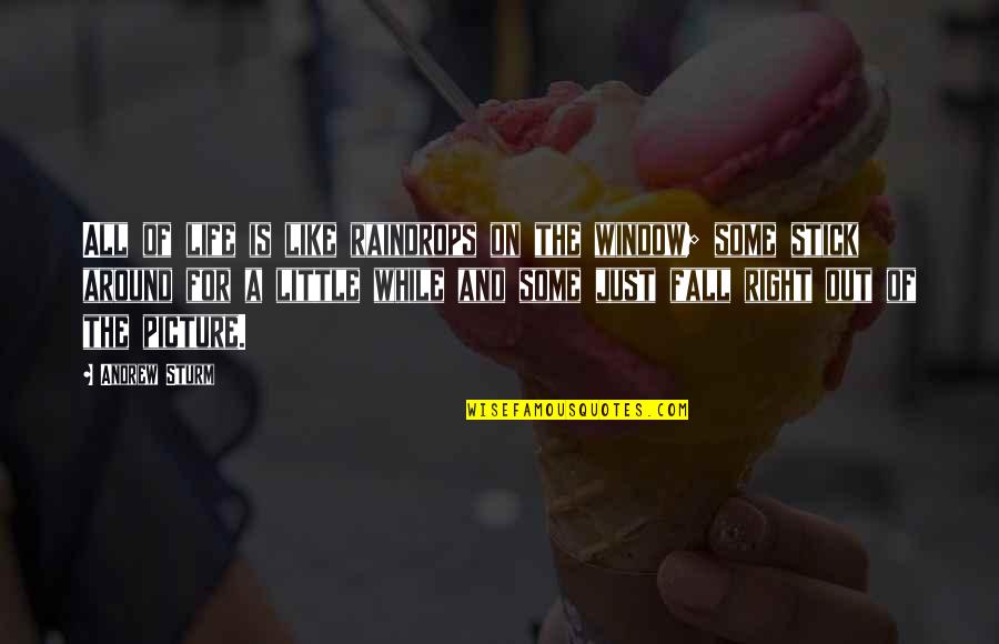 Life And Raindrops Quotes By Andrew Sturm: All of life is like raindrops on the